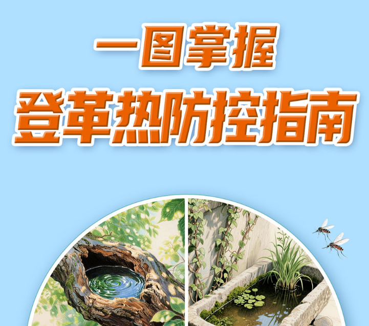 一图掌握登革热防控指南